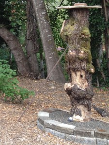 "bee gum" hive, in the bole of a tree