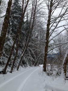 snowy drivewaySM