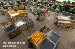 WHOLE FOODS MARKET PRODUCE DEPARTMENT