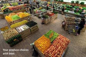 WHOLE FOODS MARKET PRODUCE DEPARTMENT