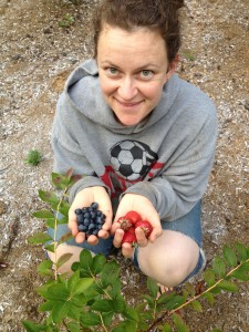 fruit-berriesberriesSM